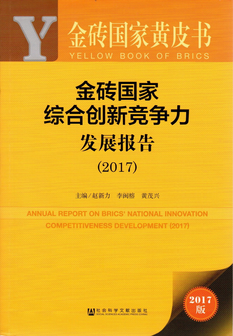 操骚浪逼乱伦视频金砖国家综合创新竞争力发展报告（2017）